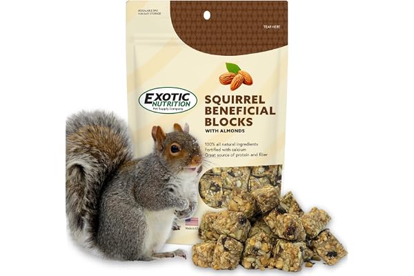 Exotic Nutrition Squirrel Beneficial Blocks - Healthy & Unique Supplemental Food with Nuts & Seeds, 10 oz