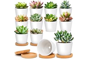T4U 2.5 Inch Mini White Succulent Planter Pots with Bamboo Tray Round Set of 12, Tiny Ceramic Succulent Air Plant Flower Pots Cactus Faux Plants Containers, Gifts for Plant Lover, Home Office Decor