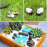 FomCcu Fairy Mini Garden Kit 72 Pieces Micro Landscape Animals Decor DIY view 5