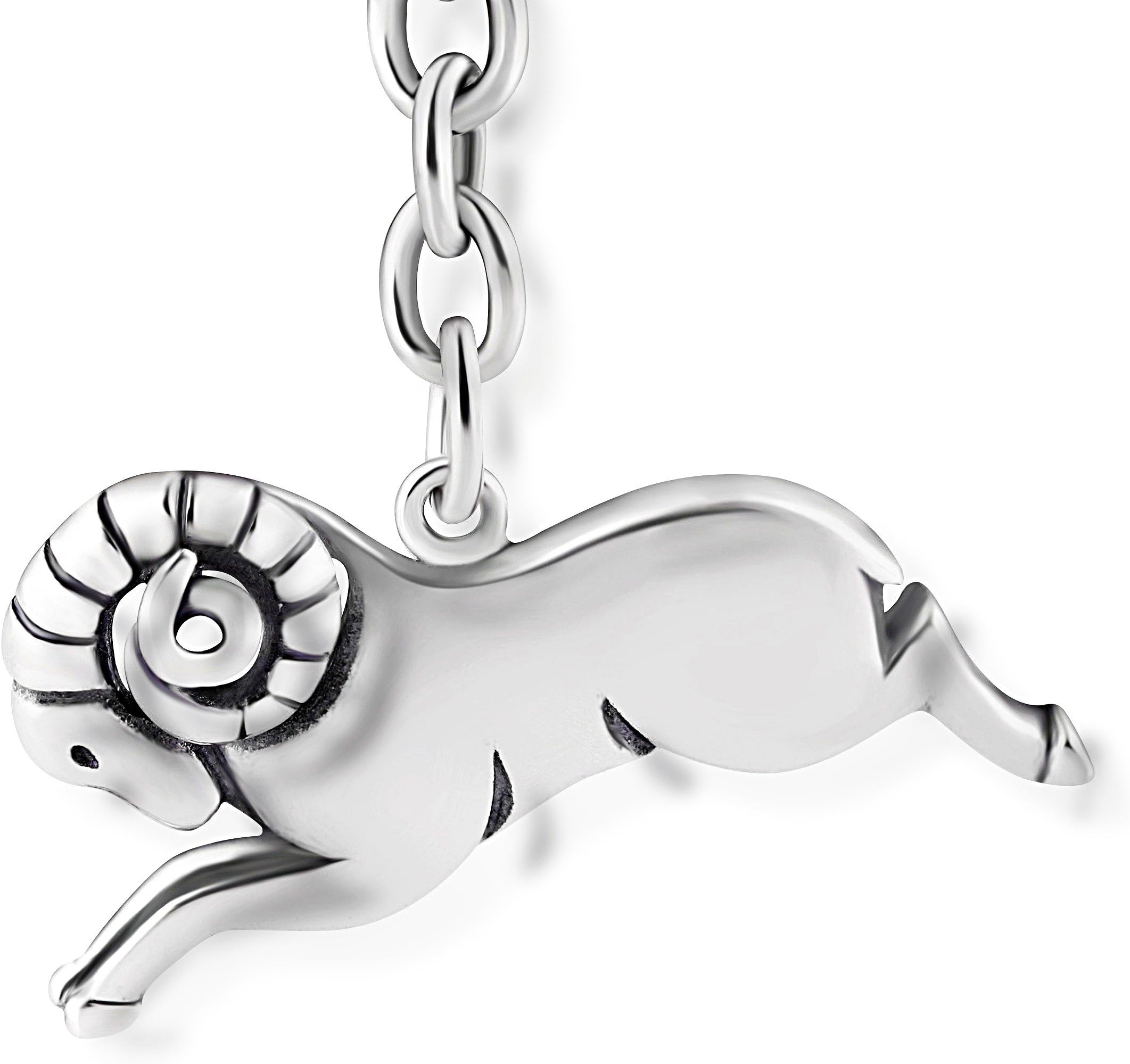 STERLL man Keychain Astrological Sign Aries Oxidized Jewelry Pouch Partner Gifts