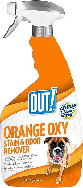 australian shepherds and cats