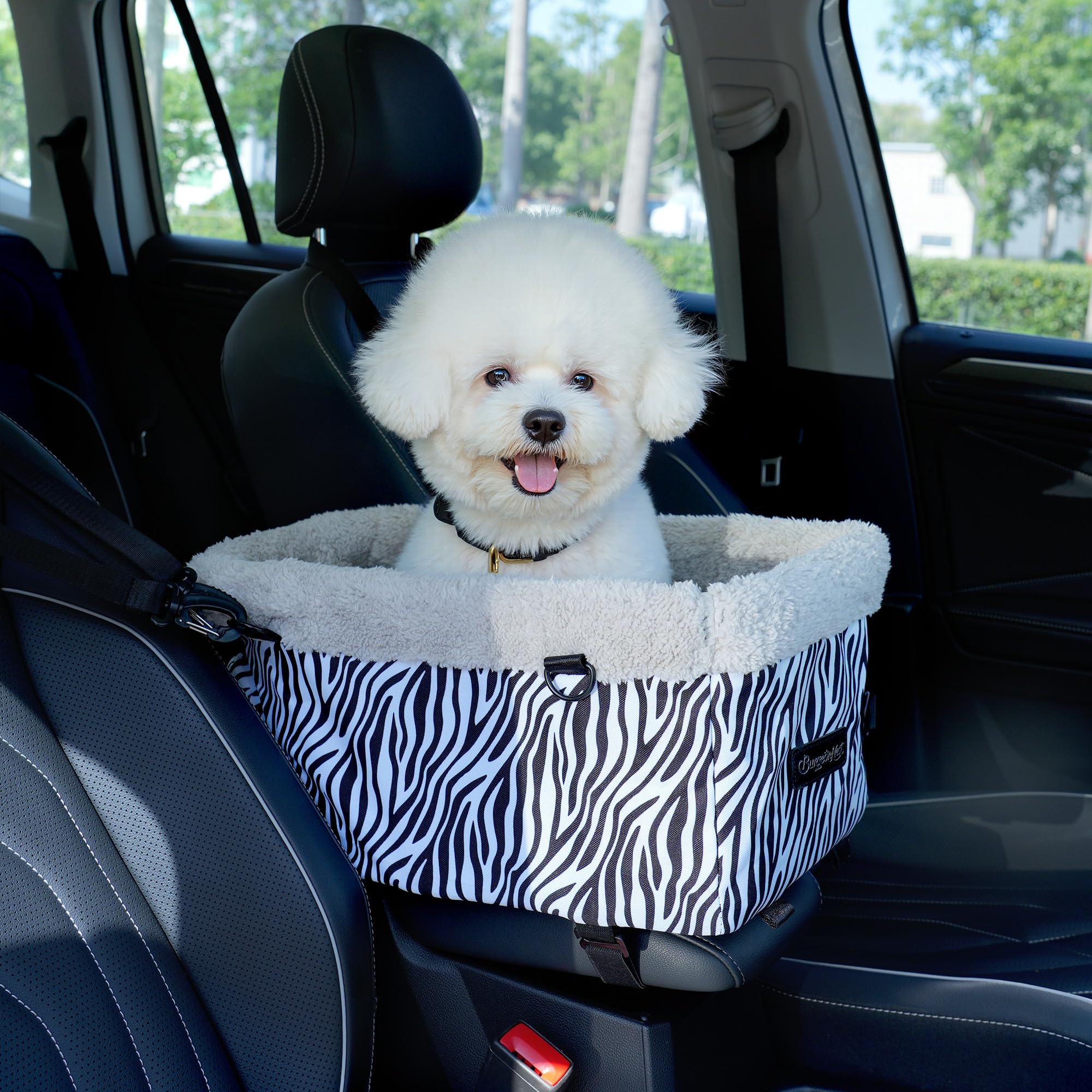 Photo 1 of BurgeonNest Center Console Dog Car Seat for Small Dogs, Puppy Cat Car Seat Booster with Soft Cushion Safety Belt, Seats Safe & Cozy Metal Frame Armrest Dog Booster Pet Under 11 lbs (Zebra)