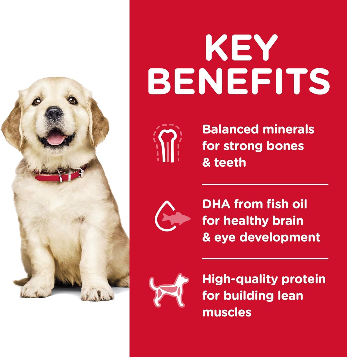 science diet large puppy food