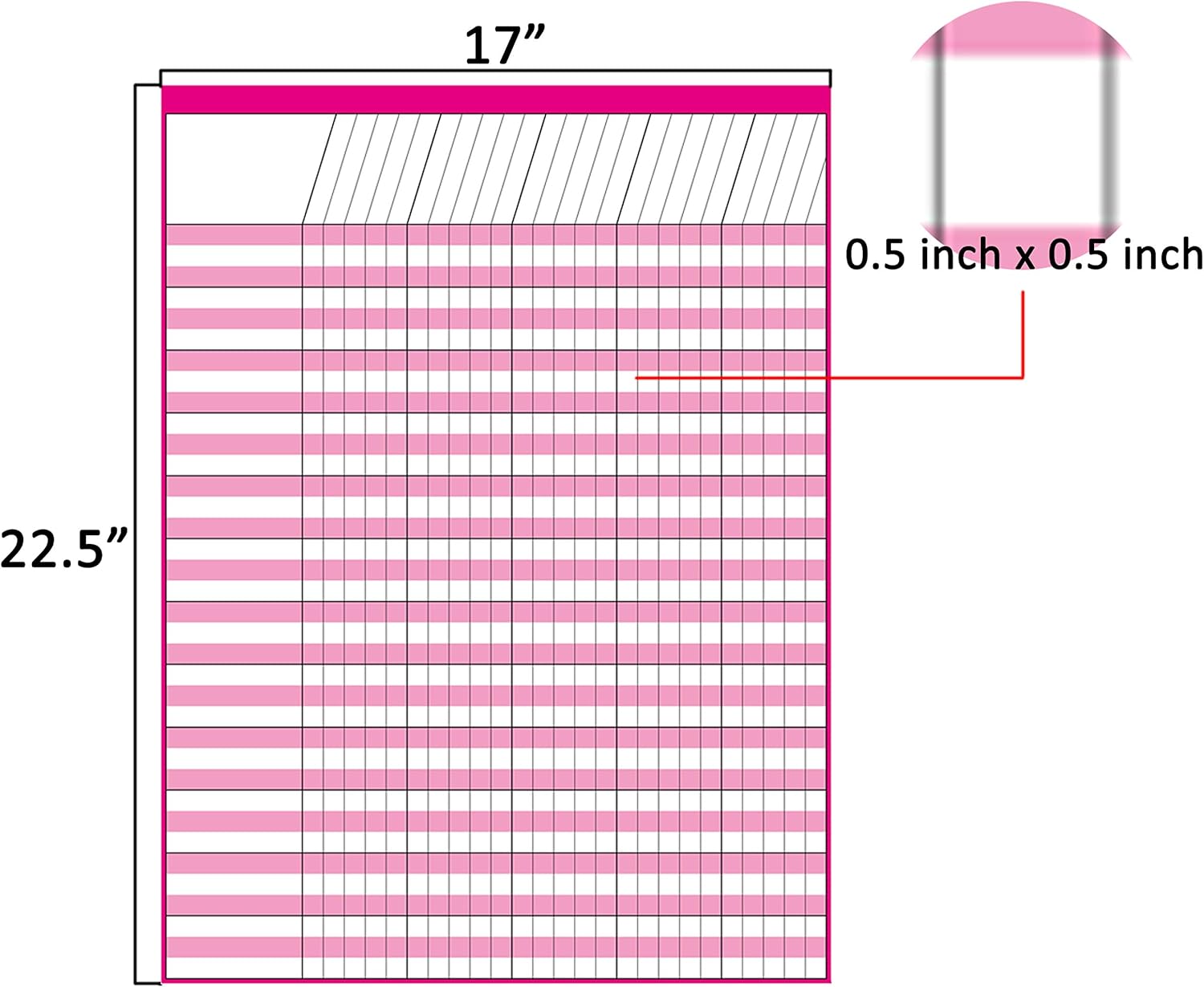 Youngever 12 Pack Multi-Color Laminated Dry Erase Incentive Chart with 960 Reward Star Stickers for Chore Responsibility, School Attendance, Homework Progress Tracking Chart (17 Inch x 22 Inch) : Office Products
