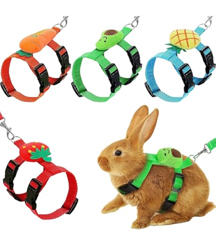 Amazon.com : Copfeu Rabbit Harness and Leash - Adjustable Bunny