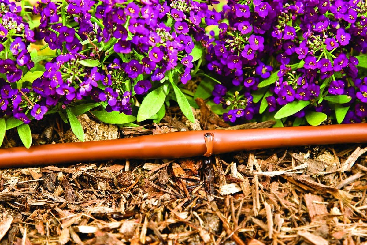 DIG 1/4-Inch x 100-Feet Irrigation/Hydroponics Dripline with 9-Inch Emitter Spacing (Brown) : Garden & Outdoor