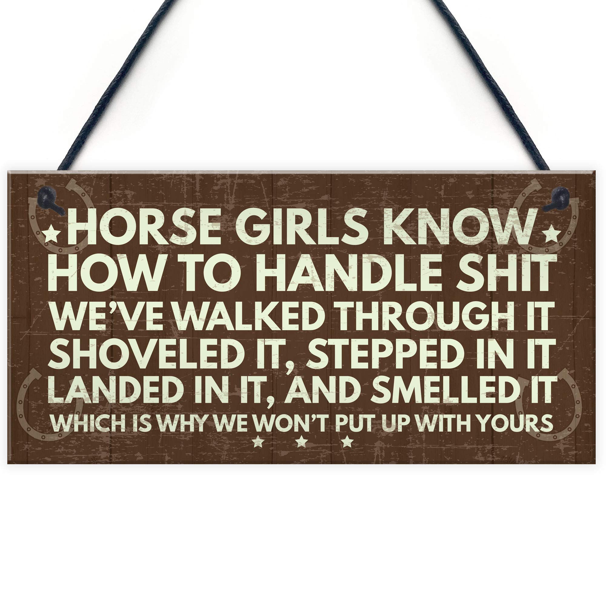 RED OCEAN Horse Signs Funny Hanging Plaque Horse Signs For Bedroom Signs About Horses Keepsake Gift