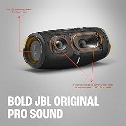 JBL Charge 5 (Gray) + Bundle with divvi! Protective