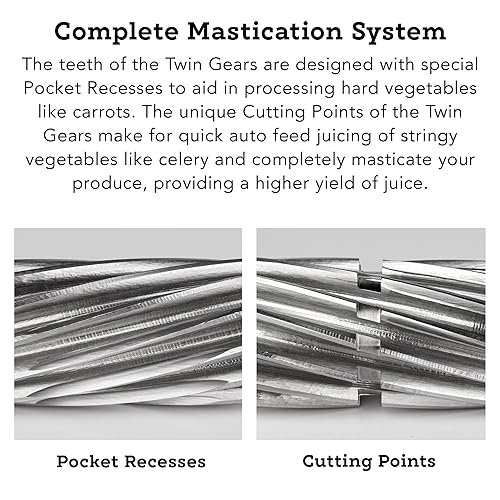 Tribest Greenstar GP-E1503 Deluxe Slow Masticating Juicer, Twin Gear Cold  Press Juicer Juice Extractor, Whit