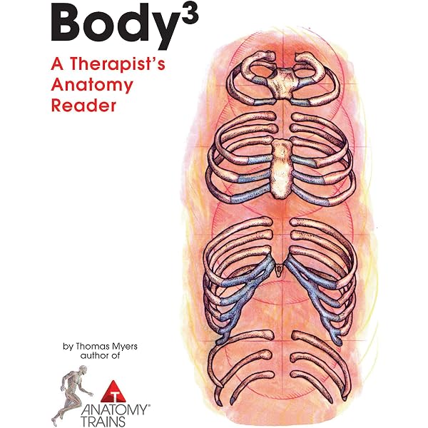 Amazon.com: Recognizing and Treating Breathing Disorders: A
