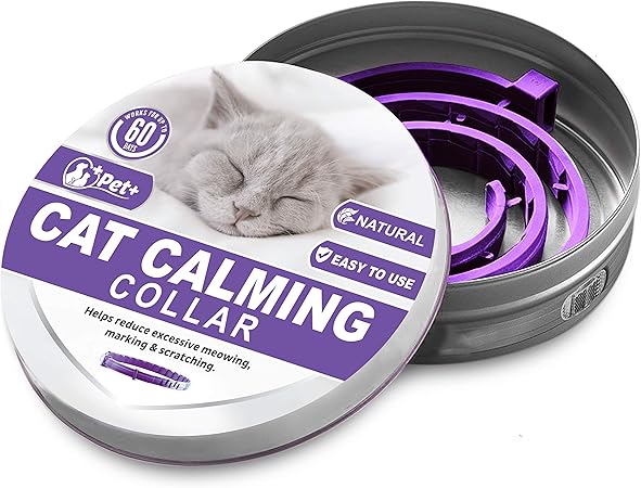 cat calming products anti anxiety