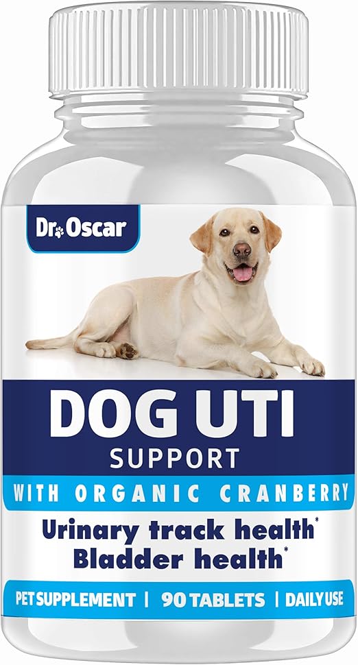 dogs and uti treatment