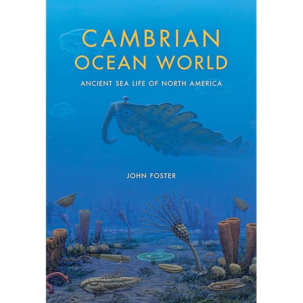 アート・デザイン・音楽 CORAL AND CONCRETE by GREG DVORAK Coral and Concrete (Asia Pacific Flows): Dvorak, Greg