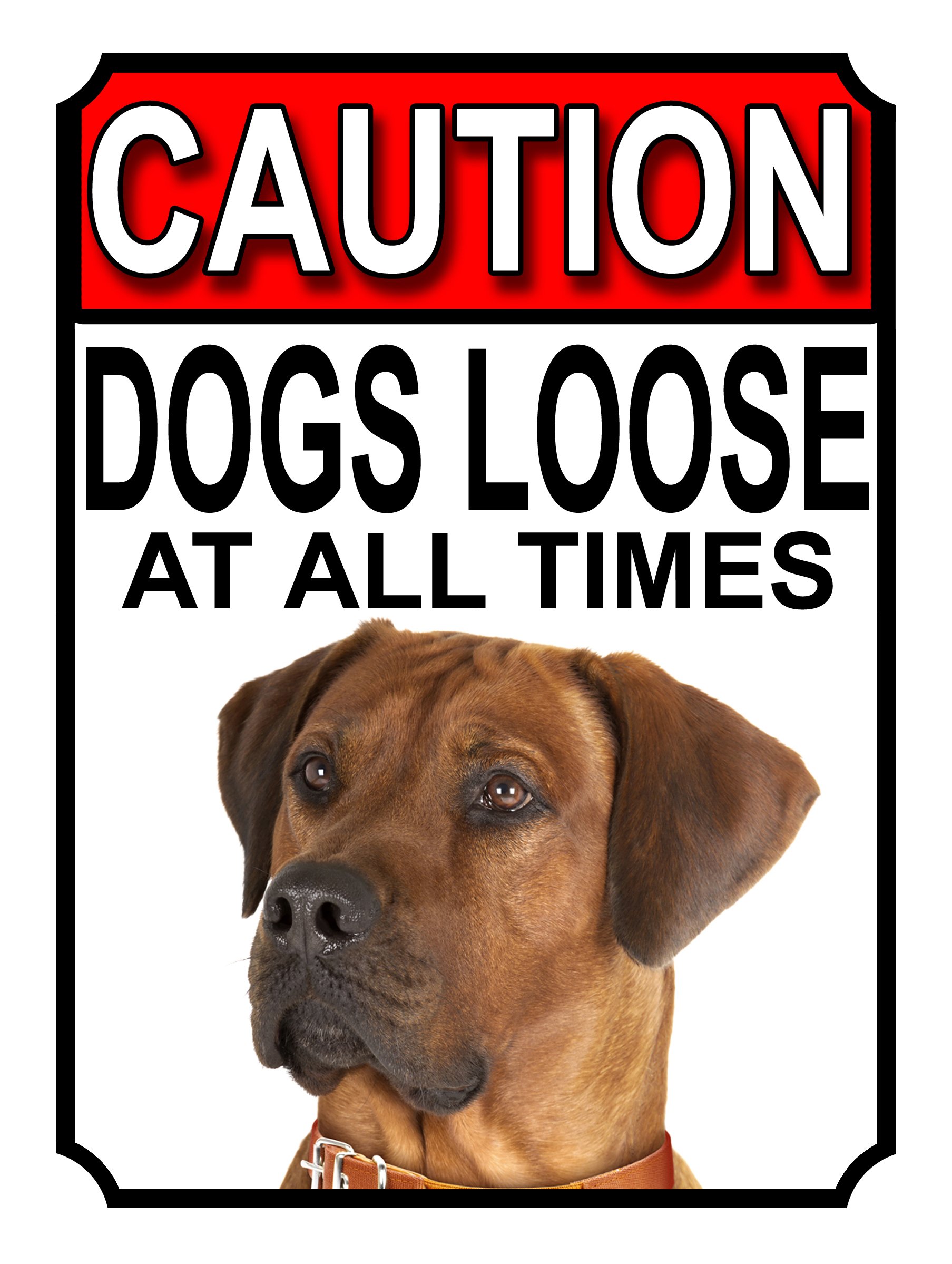 SHAWPRINT CAUTION DOGS LOOSE AT ALL TIMES METAL GATE SIGN RHODESIAN RIDGEBACK 200MM X 150MM (1210H1) — image 1