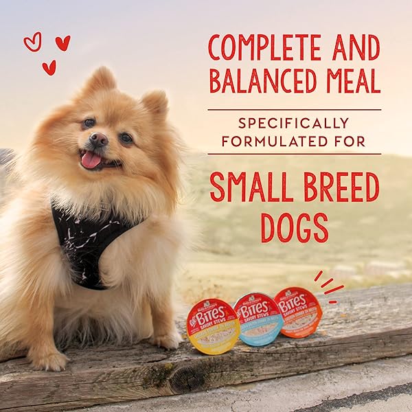 STELLA & CHEWY’S LIL BITES SAVORY STEWS FOR SMALL BREEDS CHICKEN & SALMON DINNER IN BROTH, 2.7 OZ. CUPS (PACK OF 12)