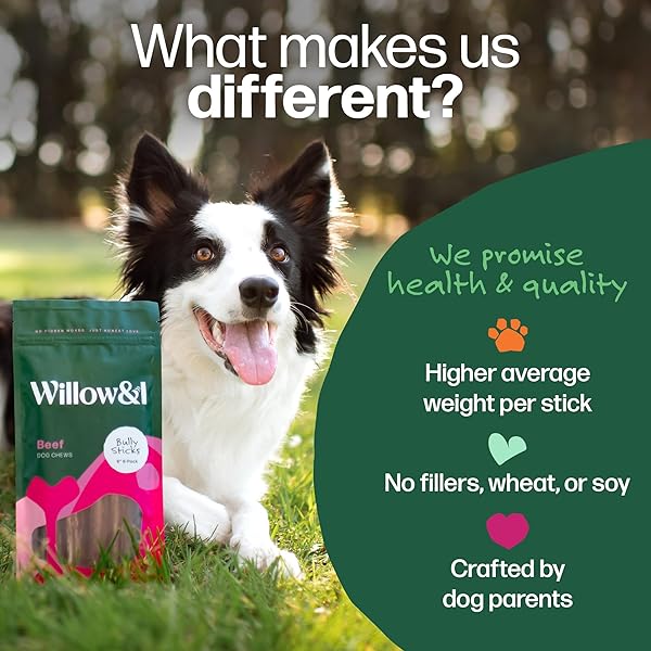 WILLOW & I BULLY STICKS FOR DOGS -6 INCH NATURAL BULLY STICKS FOR MEDIUM DOGS, SMALL & LARGE- PREMIUM 100% GRASS FED, SINGLE INGREDIENT, LONG LASTING, HIGH PROTEIN-GRAIN & RAWHIDE FREE (6″, 6 PACK)