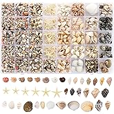 Zefy 23 Types Small Sea Shells for Crafts, 1200 Pcs Tiny Seashells with Mixed Size Starfish, Mini Shells for Vase Filler Beach Theme Party Home Decor