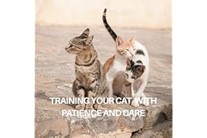 Training Your Cat with Patience and Care