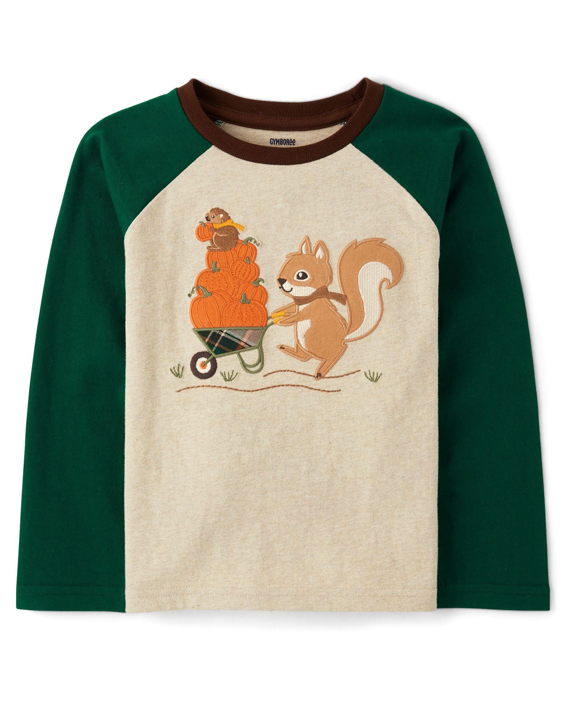 Gymboree,Boys,and Toddler Embroidered Graphic Long Sleeve Raglan T-Shirts,Harvest Squirrel,5 Years