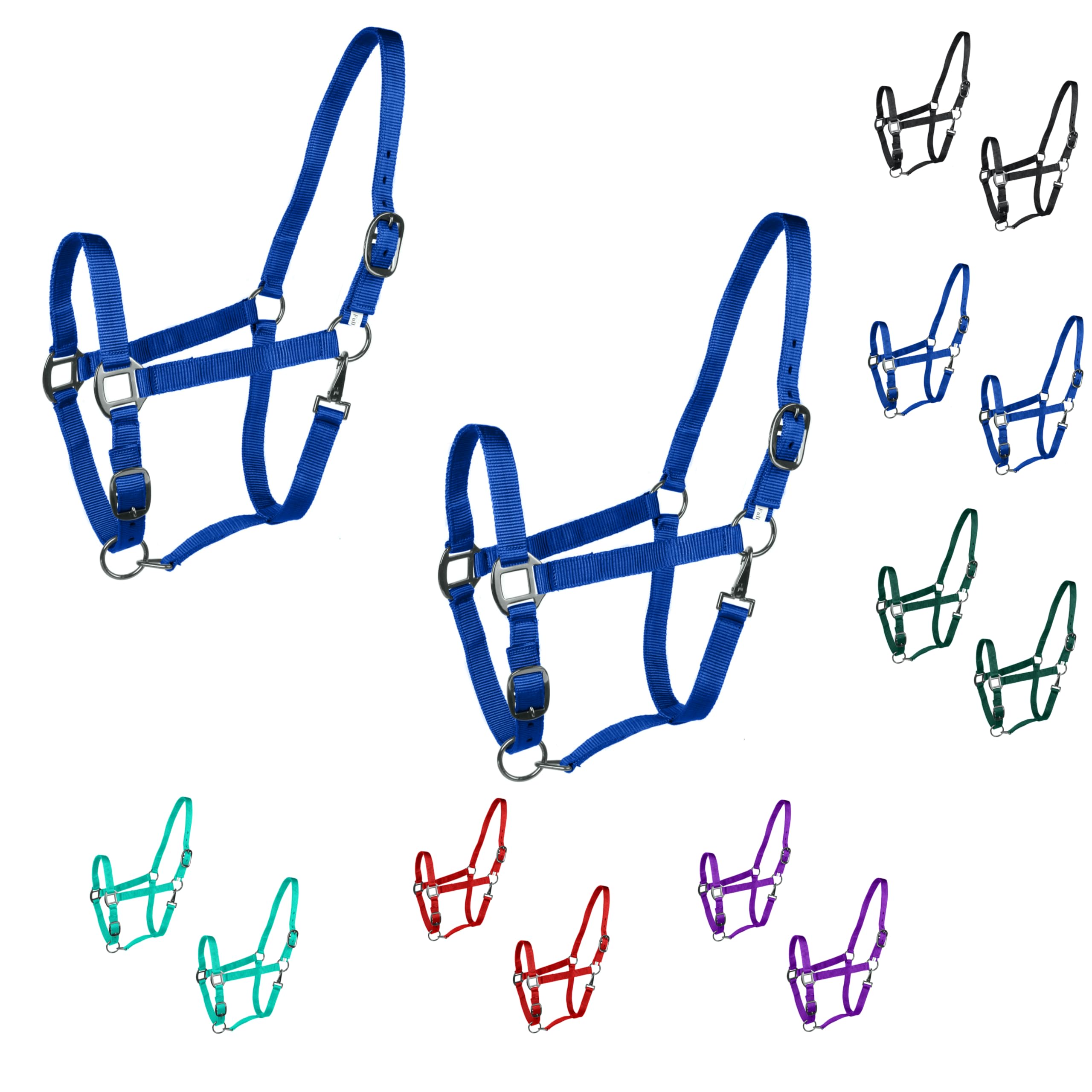Majestic Ally Pack of 2 Adjustable Headcollar for Horses–Adjustable Chin and Crown– Sewn-in Throat Snap Hook- Full (Royal Blue, Full)