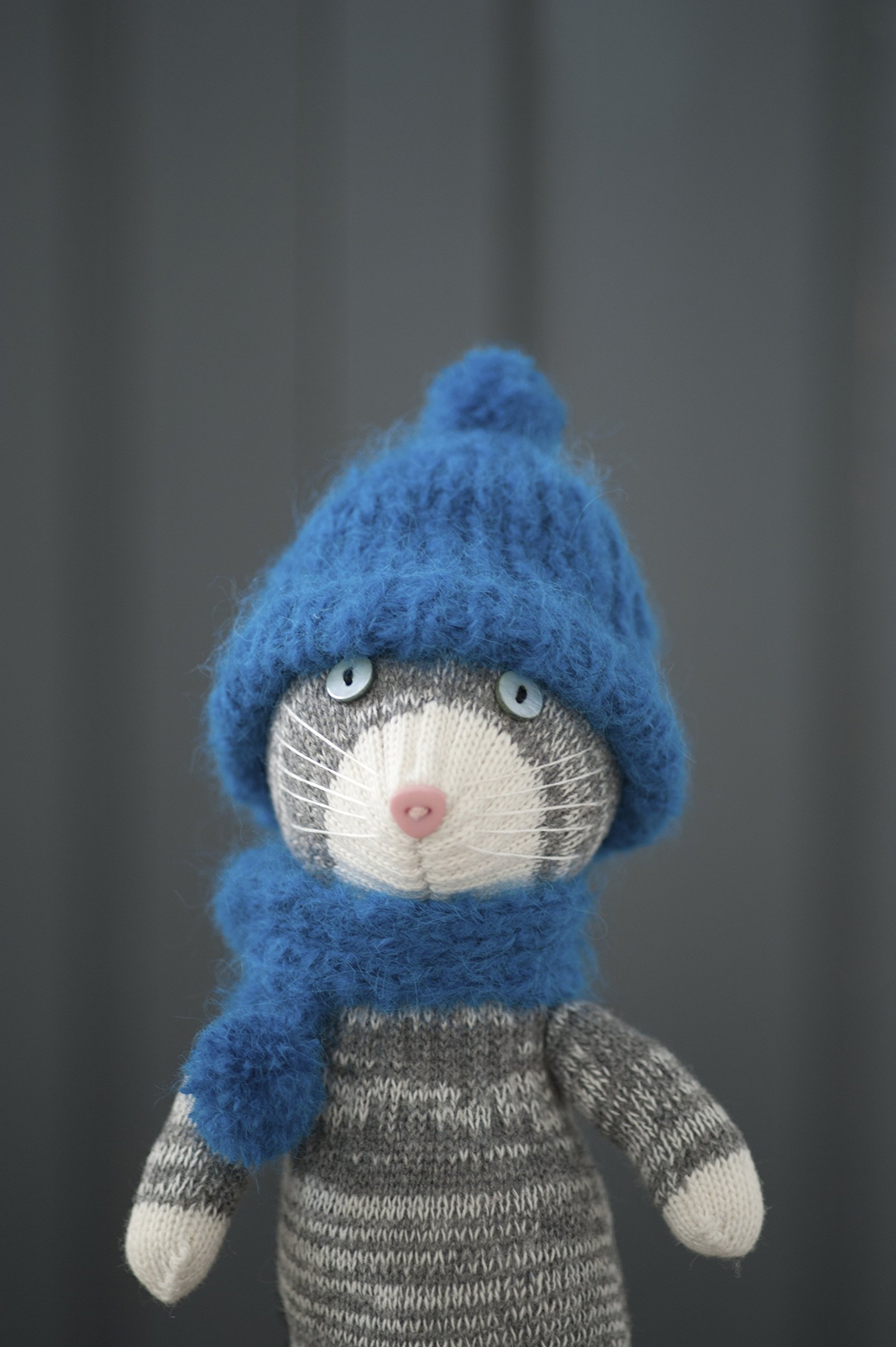 軍手ネコのつくりかたbook ジェイブックス 金森美也子 本 通販 Amazon