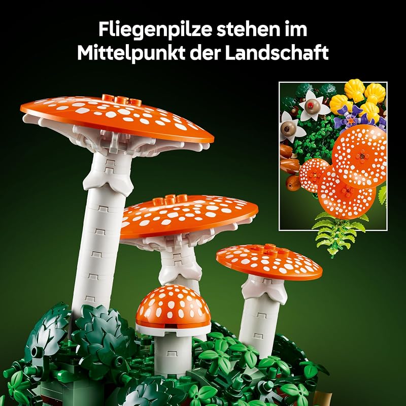 Botanicals Waldpilze 11505