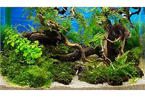 ZATIASMILLER Aquarium Background Underwater Cork Aquatic Plants Fish Tank Background Undersea Tree Branches Sand Bed Tank Enclosure Background Under The Sea Tropical Cork Plants Fish Tank Wallpaper 30x18in