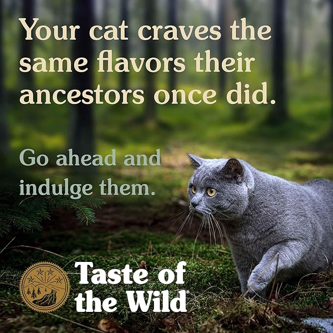 taste of the wild kitten food