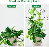 PRTECY Flueyer 2 Pcs Plant Trellis Garden Metal Support Stake 40x20cm view 4