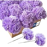 Royal Imports Artificial Carnations, Silk Faux Flowers, for Funeral Arrangements, Wedding Bouquets, Cemetery Wreaths, DIY Crafts - 100 Single 5" Stems - Lavender