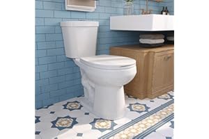 DEER VALLEY DeerValley Two-Piece Toilets for Bathrooms, 17.3" ADA Chair Height Toilet Bowls With Soft Close Seat, Dual Flush Toilet 1.1/1.6 GPF and Map 1000g, 12” Rough in White Toilet DV-2F0079