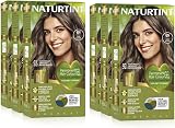 (SIX PACK) Naturtint Permanent Hair Colour 6N Dark Blonde Ammonia Free