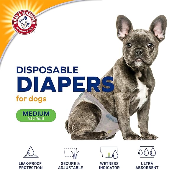 ARM & HAMMER FOR PETS DISPOSABLE FEMALE DOG DIAPERS WITH ODOR CONTROL AND WETNESS INDICATOR, LEAK RESISTANT DOG DIAPERS FOR INCONTINENCE AND HEAT CYCLES, SIZE MEDIUM 16.5–21 IN WAIST, 12 COUNT – 6 PK