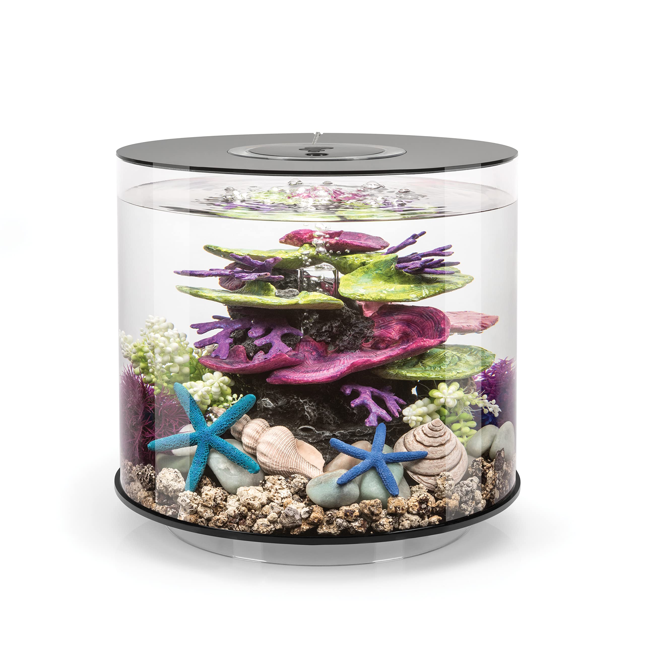biOrb 72062 TUBE 15 LED black - 15 litre 360-degree decorative aquarium | complete set made of acrylic glass with LED lighting, filter system and ceramic base