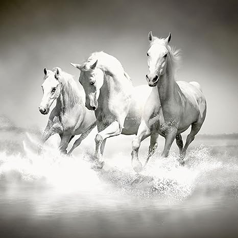 Artland Glass Wall Picture Pureso Lution Herd Of White