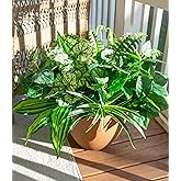 Starttag Artificial Greenery Plants Fake Plastic Leaves with Stems UV Resistant Large Bunches Outside Faux Plants Bushes for Outdoor Patio Garden Front Porch Yard Decor (Green)
