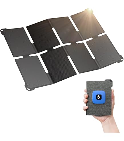 Amazon.com: 10 Watt Foldable Solar Panel (F15-600) Black : Cell