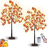 Remote Control&Timer-Fall Decor 2Pack 4 Ft Artificial Prelit Lighted Fall Maple Tree for Home,3D Patented Pumpkin Lights Acorn 96 Warm White LED 8 Mode Halloween Decorations Porch Party Outdoor Indoor