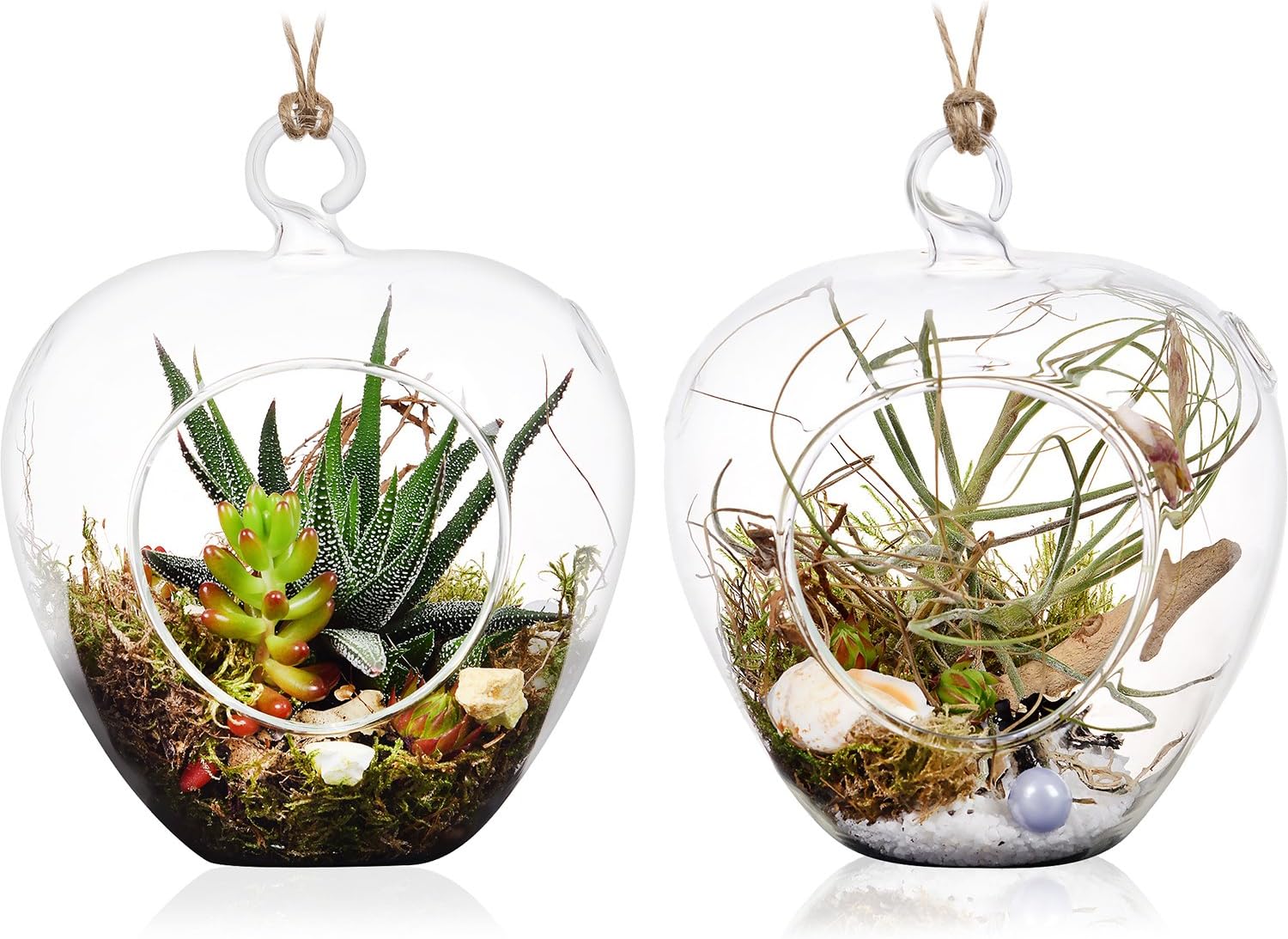 5" Hanging Terrarium/Glass Container for Succulent Air Plant Tillandsia - Set of 2 by Stenira Glass