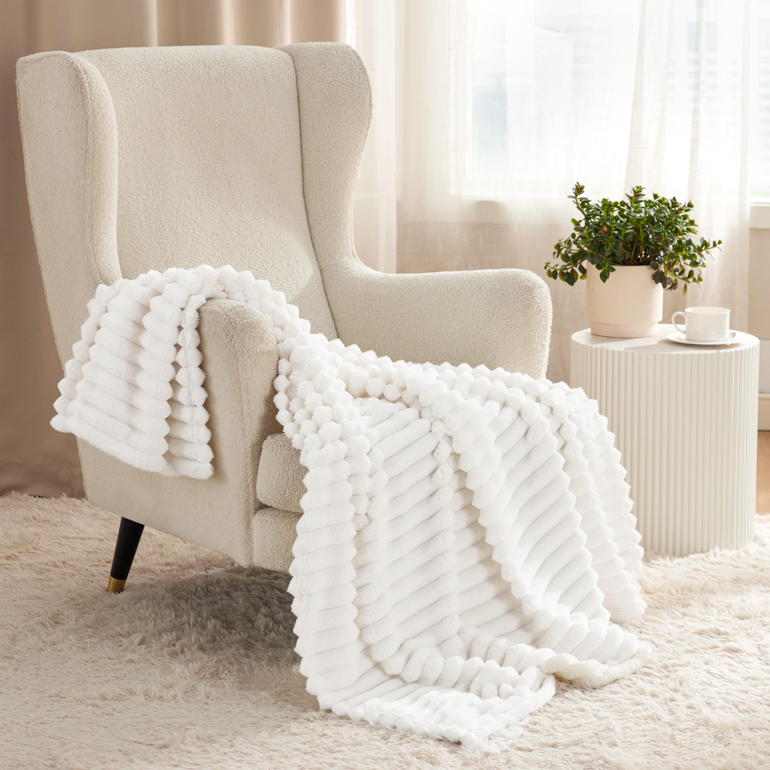 Bedsure GentleSoft Twin Blanket for Bed - Cozy Soft Blankets for Women, Cute Small Fleece Throws for Girls, Graduation Decorations Gift for Her Him School Dorm, Off White, 60x80 Inches