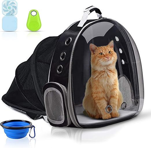 kitten backpack carrier