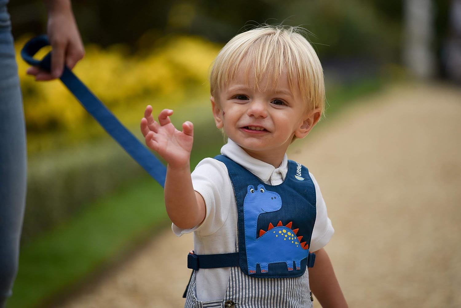 LittleLife Child & Toddler Safety Walking Harness & Reins, Dinosaur (Blue) - Image 4