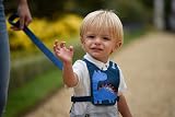 LittleLife Child & Toddler Safety Walking Harness Reins Brand view 2