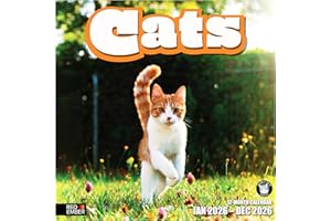 RED EMBER Cats 2026 Wall Calendar 12 Month | 12" x 24" Open | Thick & Sturdy Paper | Giftable | Calendar 2026