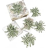 FAKILO Sage Green Bows for Gift Wrapping, Curly Ribbon Bows for Presents, Birthday, Wedding, Wrap Accessories, Party Favor - 6 Counts
