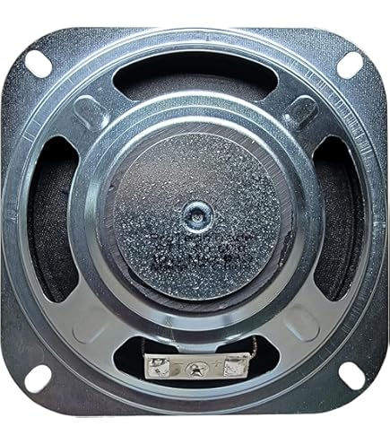 Amazon.com: Visaton R10S 4