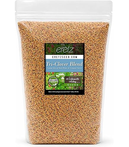 Amazon.com : Dixie Crimson Clover Seeds (5,000 Seed Package
