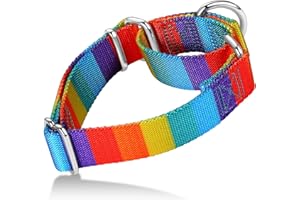 Axdvk Martingale Dog Collar Colorful Gradient Fashionable - Anti-Escape Soft Durable Pets Collar for Walking Training Outdoor Daily Use -Medium, Sunny Rainbow