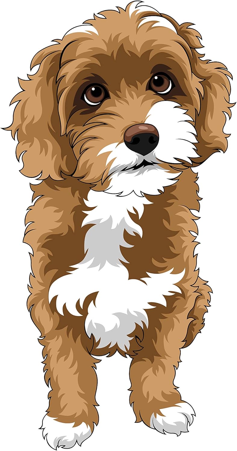 Marine Phytoplankton Omega 3 2 12 Oz Vegetarian Powder For Dogs Cats For Healthy Skin Overall Health Amazon Ca Pet Supplies