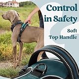 rabbitgoo Dog Harness Large No Pull Front Back Leash Clips Reflective Dark Green view 5